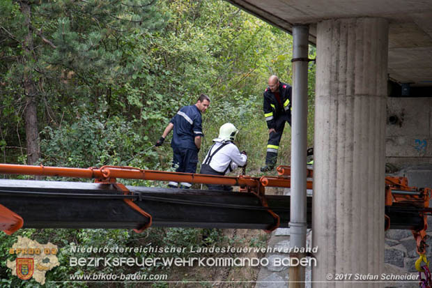 20170910 5 Tote und 3 Verletzte bei Verkehrsunfall auf der A21 bei Heiligenkreuz RFb Wien  Foto: © Stefan Schneider BFK Baden