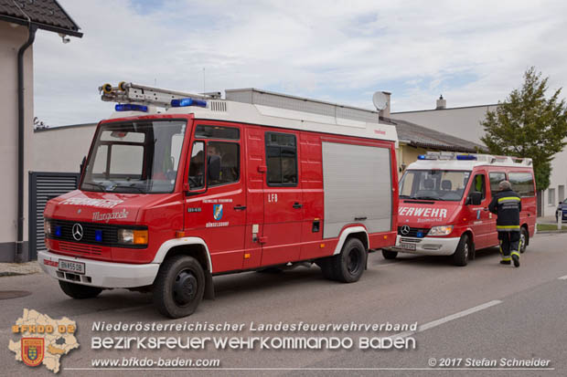 20170912 Babykatze in Günselsdrf aus Regenabflussrohr befreit  Foto: © Stefan Schneider BFK Baden