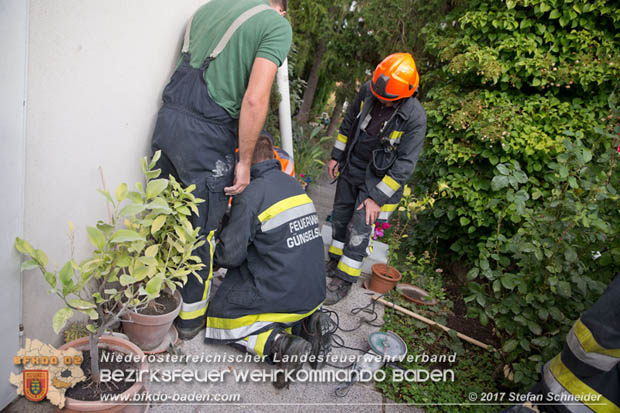 20170912 Babykatze in Günselsdrf aus Regenabflussrohr befreit  Foto: © Stefan Schneider BFK Baden