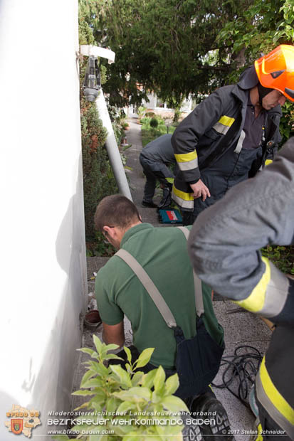 20170912 Babykatze in Günselsdrf aus Regenabflussrohr befreit  Foto: © Stefan Schneider BFK Baden
