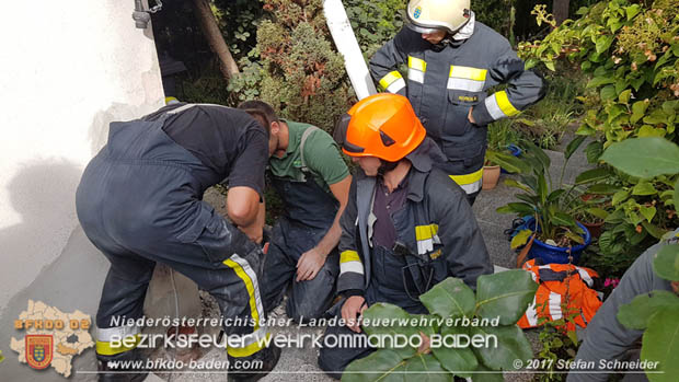 20170912 Babykatze in Günselsdrf aus Regenabflussrohr befreit  Foto: © Stefan Schneider BFK Baden