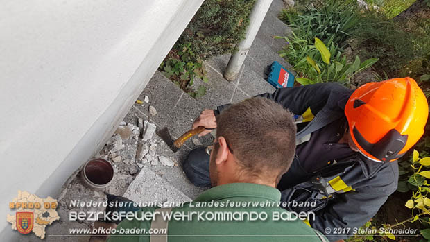 20170912 Babykatze in Günselsdrf aus Regenabflussrohr befreit  Foto: © Stefan Schneider BFK Baden