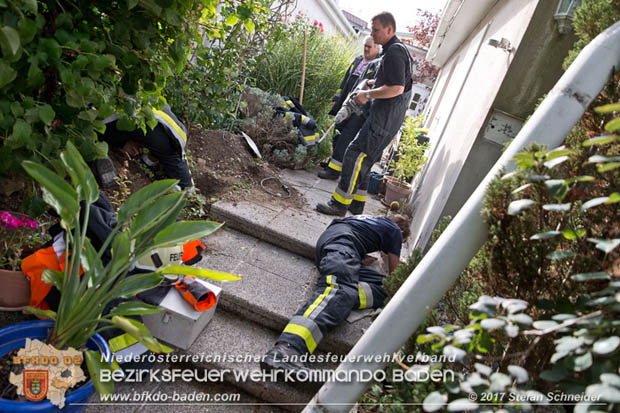 20170912 Babykatze in Günselsdrf aus Regenabflussrohr befreit  Foto: © Stefan Schneider BFK Baden