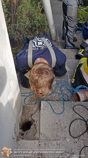 20170912 Babykatze in Günselsdrf aus Regenabflussrohr befreit  Foto: © Stefan Schneider BFK Baden
