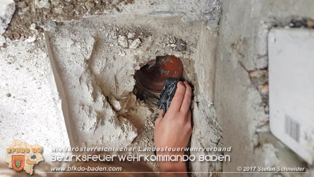 20170912 Babykatze in Günselsdrf aus Regenabflussrohr befreit  Foto: © Stefan Schneider BFK Baden
