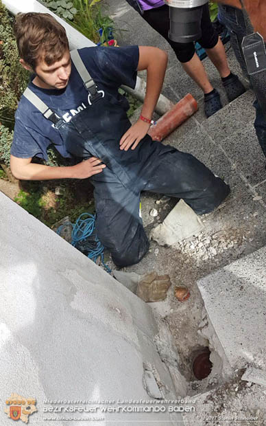 20170912 Babykatze in Günselsdrf aus Regenabflussrohr befreit  Foto: © Stefan Schneider BFK Baden