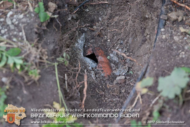 20170912 Babykatze in Günselsdrf aus Regenabflussrohr befreit  Foto: © Stefan Schneider BFK Baden
