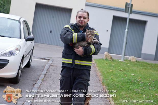 20170917 Wohnungsbrand im Ortsteil Baden Weikersdorf  Foto: © Stefan Schneider BFK BADEN