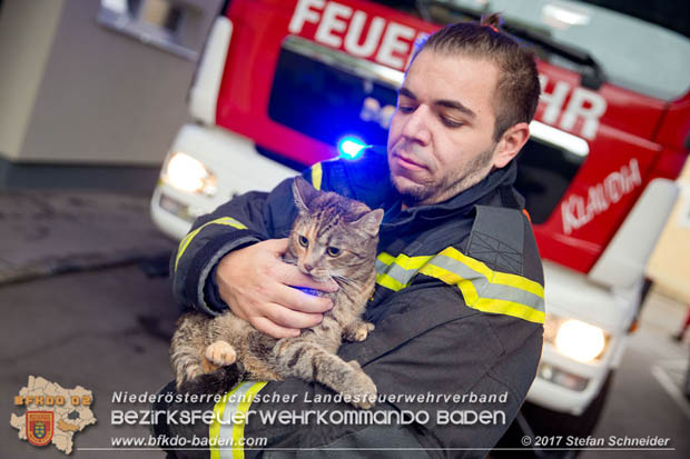 20170917 Wohnungsbrand im Ortsteil Baden Weikersdorf  Foto: © Stefan Schneider BFK BADEN
