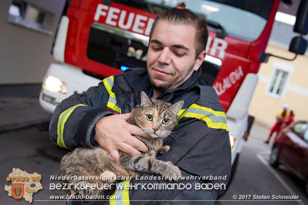 20170917 Wohnungsbrand im Ortsteil Baden Weikersdorf  Foto: © Stefan Schneider BFK BADEN