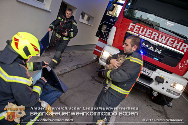 20170917 Wohnungsbrand im Ortsteil Baden Weikersdorf  Foto: © Stefan Schneider BFK BADEN