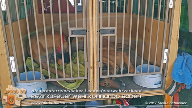 20171013 Grossangelegte Personensuche nach 29-jaehigen Vermissten in Enzesfeld-Lindabrunn  Foto: © Stefan Schneider BFK BADEN
