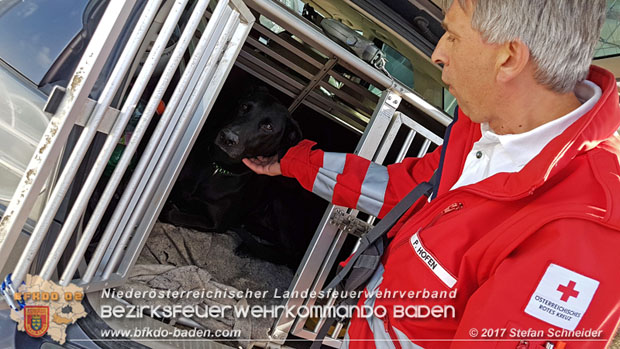 20171013 Grossangelegte Personensuche nach 29-jaehigen Vermissten in Enzesfeld-Lindabrunn  Foto: © Stefan Schneider BFK BADEN
