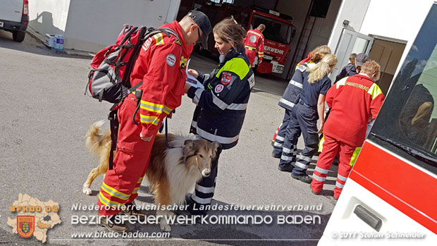 20171013 Grossangelegte Personensuche nach 29-jaehigen Vermissten in Enzesfeld-Lindabrunn  Foto: © Stefan Schneider BFK BADEN