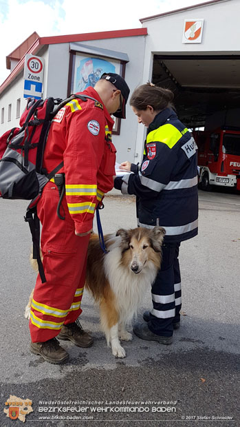 20171013 Grossangelegte Personensuche nach 29-jaehigen Vermissten in Enzesfeld-Lindabrunn  Foto: © Stefan Schneider BFK BADEN