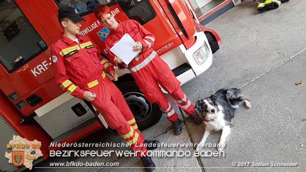 20171013 Grossangelegte Personensuche nach 29-jaehigen Vermissten in Enzesfeld-Lindabrunn  Foto: © Stefan Schneider BFK BADEN