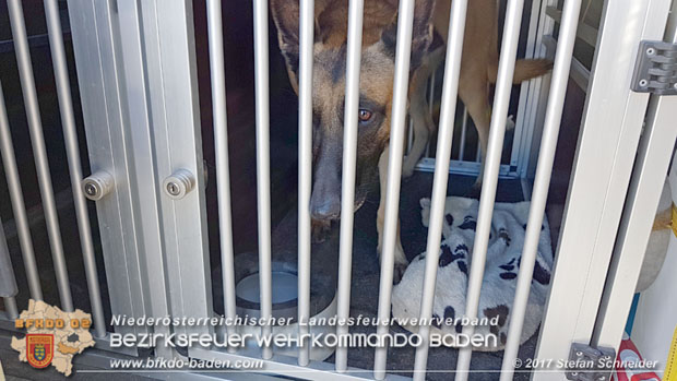 20171013 Grossangelegte Personensuche nach 29-jaehigen Vermissten in Enzesfeld-Lindabrunn  Foto: © Stefan Schneider BFK BADEN