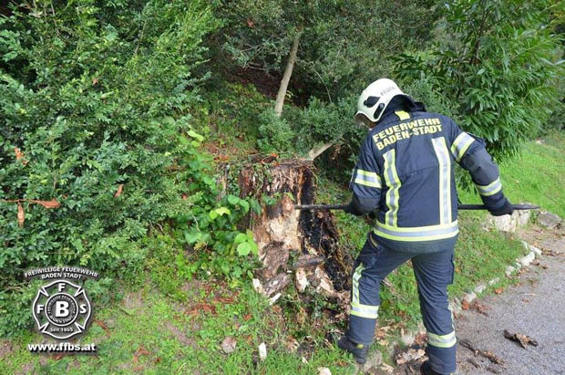 20171014 Glosender Baumstumpf im Badener Kurpark Foto: © Freiwillige Feuerwehr Baden-Stadt 20171014 Glosender Baumstumpf im Badener Kurpark Foto: © Freiwillige Feuerwehr Baden-Stadt