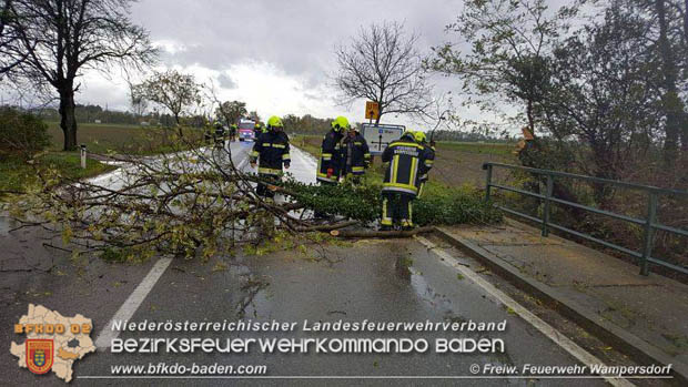 20171027 Sturmschaden auf der LB16 bei Wampersdorf  Foto: © Freiwillige Feuerwehr Wampersdorf