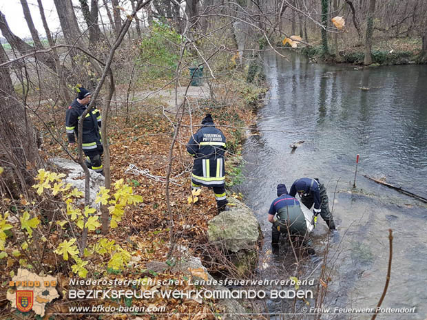 20171120 Tresorbergung aus der Fischa bei Pottendorf Foto: © Freiwillige Feuerwehr Pottendorf 20171120 Tresorbergung aus der Fischa bei Pottendorf Foto: © Freiwillige Feuerwehr Pottendorf