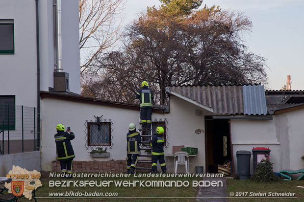 20171207 Katze auf Hausdach in Tribuswinkel  Foto: © Stefan Schneider