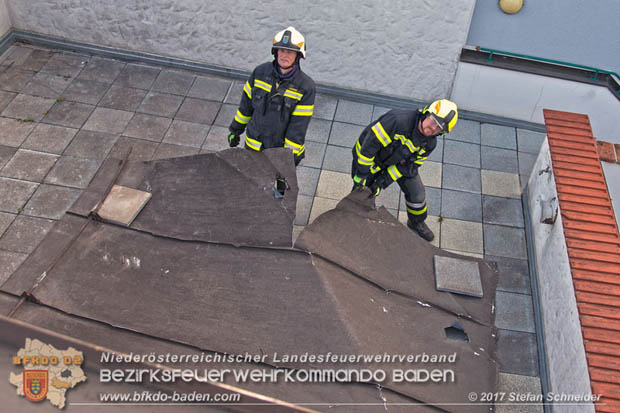 20171224 Sturmschaden in Sooss  Foto: © Stefan Schneider