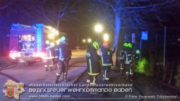 20171231 Brand einer Hecke in Tribuswinkel beim Tennisplatz - durch abgeschossenen Feuerwerkskörper  Foto: © FF Tribuswinkel