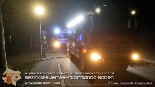 20171231 Brand einer Hecke in Tribuswinkel beim Tennisplatz - durch abgeschossenen Feuerwerkskörper Foto: © FF Tribuswinkel