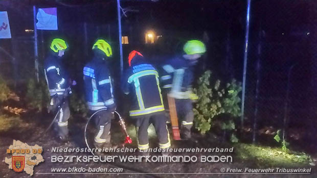 20171231 Brand einer Hecke in Tribuswinkel beim Tennisplatz - durch abgeschossenen Feuerwerkskörper  Foto: © FF Tribuswinkel