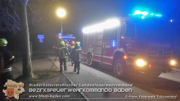 20171231 Brand einer Hecke in Tribuswinkel beim Tennisplatz - durch abgeschossenen Feuerwerkskörper  Foto: © FF Tribuswinkel
