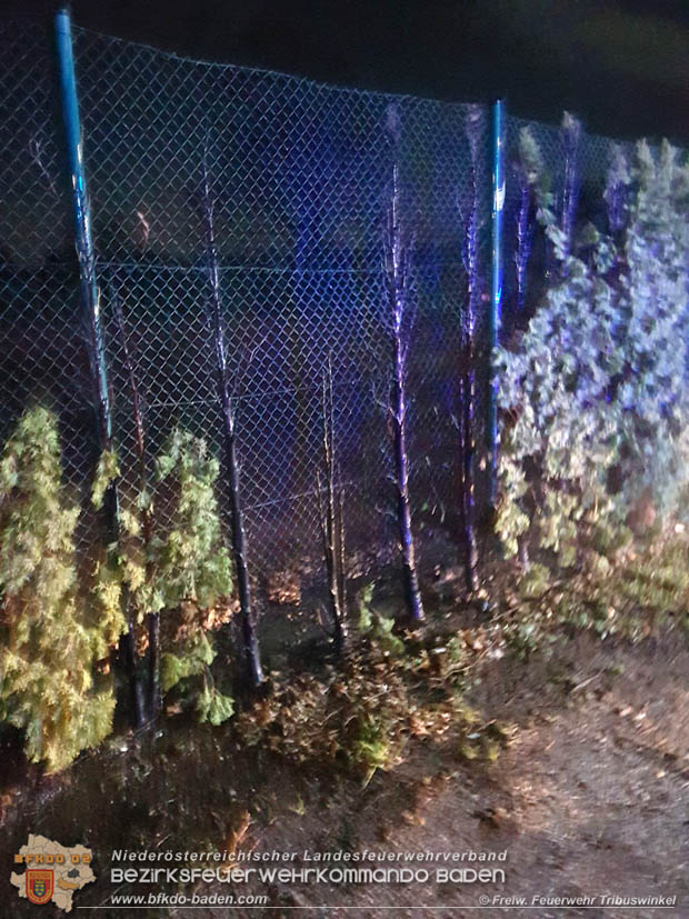 20171231 Brand einer Hecke in Tribuswinkel beim Tennisplatz - durch abgeschossenen Feuerwerkskörper  Foto: © FF Tribuswinkel