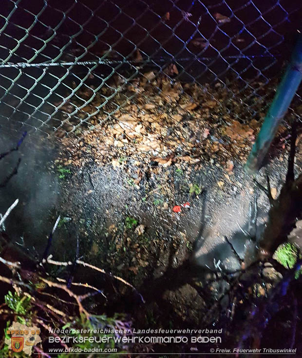 20171231 Brand einer Hecke in Tribuswinkel beim Tennisplatz - durch abgeschossenen Feuerwerkskörper  Foto: © Stefan Mitheis FF Tribuswinkel