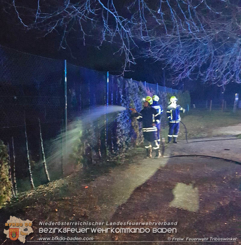 20171231 Brand einer Hecke in Tribuswinkel beim Tennisplatz - durch abgeschossenen Feuerwerkskörper  Foto: © Stefan Mitheis FF Tribuswinkell