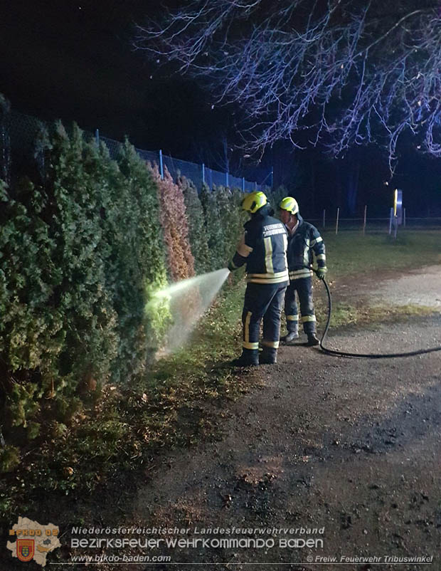 20171231 Brand einer Hecke in Tribuswinkel beim Tennisplatz - durch abgeschossenen Feuerwerkskörper  Foto: © Stefan Mitheis FF Tribuswinkel