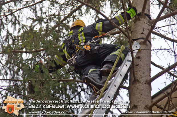 20180107 "Mau-Mau" in luftiger Höhe - in Baden  Foto: Stefan Schneider FF Baden-Stadt
