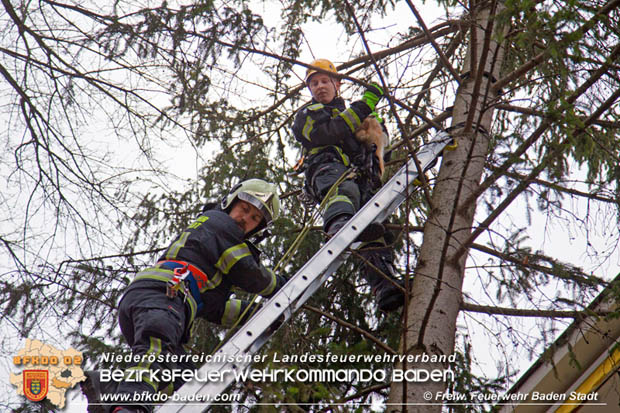 20180107 "Mau-Mau" in luftiger Höhe - in Baden Foto: Stefan Schneider FF Baden-Stadt 20180107 "Mau-Mau" in luftiger Höhe - in Baden Foto: Stefan Schneider FF Baden-Stadt