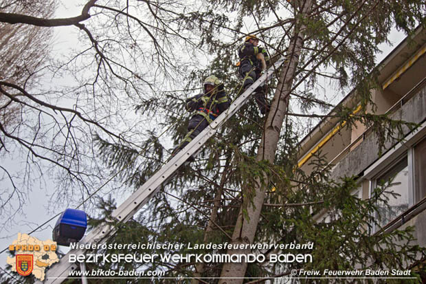 20180107 "Mau-Mau" in luftiger Höhe - in Baden Foto: Stefan Schneider FF Baden-Stadt 20180107 "Mau-Mau" in luftiger Höhe - in Baden Foto: Stefan Schneider FF Baden-Stadt