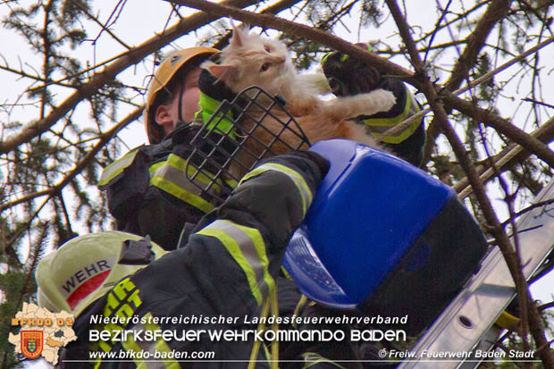 20180107 "Mau-Mau" in luftiger Höhe - in Baden Foto: Stefan Schneider FF Baden-Stadt 20180107 "Mau-Mau" in luftiger Höhe - in Baden Foto: Stefan Schneider FF Baden-Stadt
