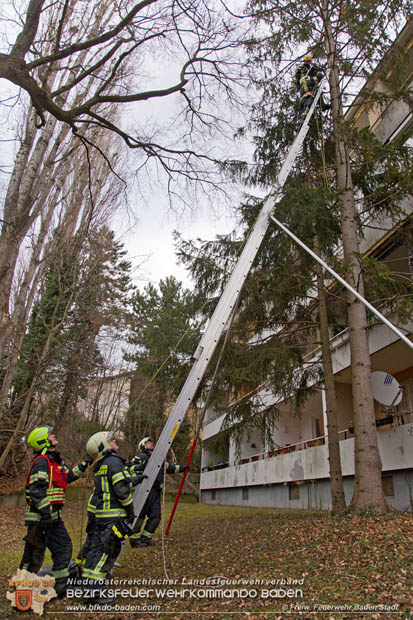 20180107 "Mau-Mau" in luftiger Höhe - in Baden Foto: Stefan Schneider FF Baden-Stadt 20180107 "Mau-Mau" in luftiger Höhe - in Baden Foto: Stefan Schneider FF Baden-Stadt