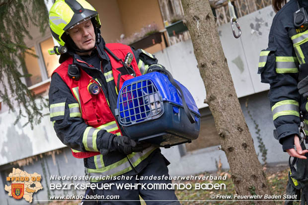 20180107 "Mau-Mau" in luftiger Höhe - in Baden Foto: Stefan Schneider FF Baden-Stadt 20180107 "Mau-Mau" in luftiger Höhe - in Baden Foto: Stefan Schneider FF Baden-Stadt