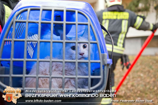 20180107 "Mau-Mau" in luftiger Höhe - in Baden Foto: Stefan Schneider FF Baden-Stadt 20180107 "Mau-Mau" in luftiger Höhe - in Baden Foto: Stefan Schneider FF Baden-Stadt