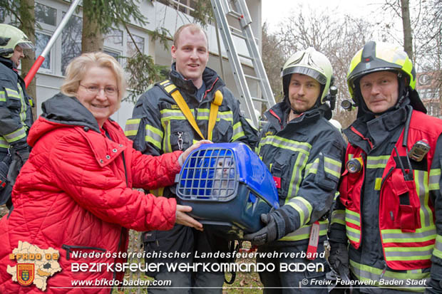 20180107 "Mau-Mau" in luftiger Höhe - in Baden  Foto: Stefan Schneider FF Baden-Stadt