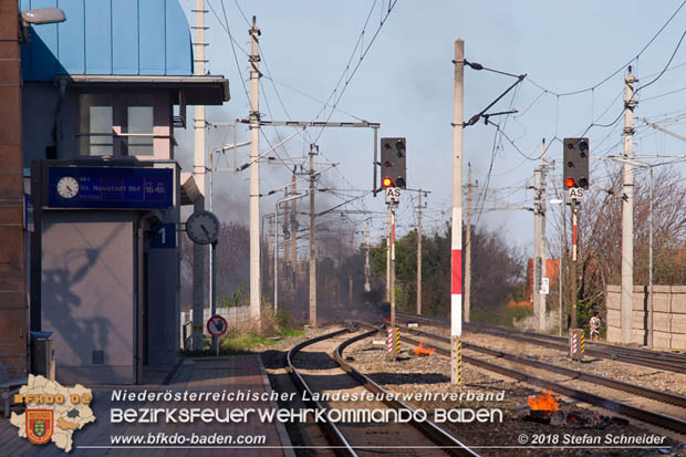 20180414 Brand mehrerer Güterwaggons im Bahnhof Pfaffstätten  Foto: © Stefan Schneider BFKDO BADEN