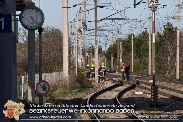 20180414 Brand mehrerer Güterwaggons im Bahnhof Pfaffstätten  Foto: © Stefan Schneider BFKDO BADEN