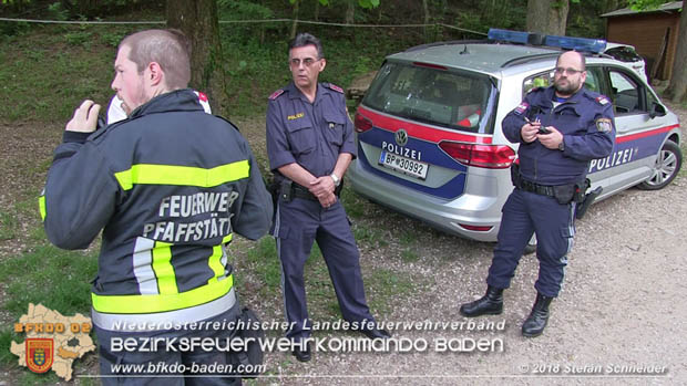 20180505 Feuerwehr Pfaffstätten unterstützt Rettungsdienst bei Person in Notlage  Foto: Stefan Schneider BFK Baden