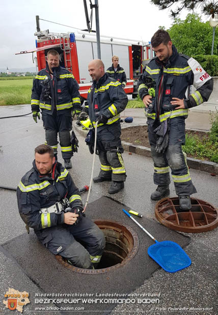 20180515 Drei Enten-Küken fallen in Wienersdorf in einen Gulli  Foto: © Alexander Umschaden FF Wienersdorf