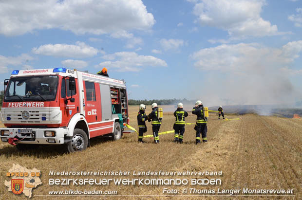 20180619 Großer Flurbrand bei Unterwaltersdorf Foto: © Thomas Lenger Monatsrevue.at 20180619 Großer Flurbrand bei Unterwaltersdorf Foto: © Thomas Lenger Monatsrevue.at
