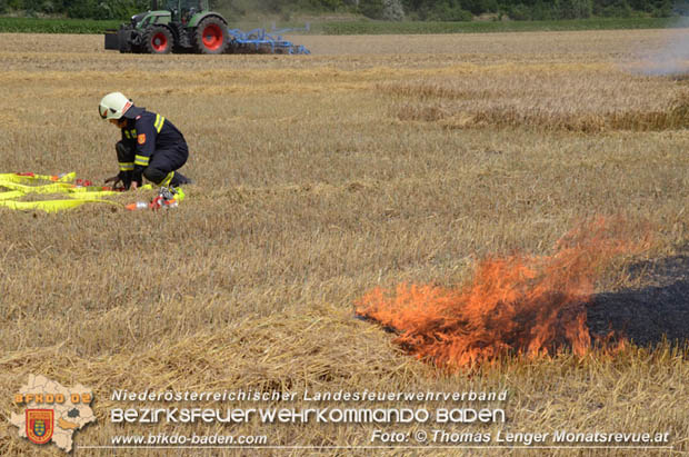 20180619 Großer Flurbrand bei Unterwaltersdorf Foto: © Thomas Lenger Monatsrevue.at 20180619 Großer Flurbrand bei Unterwaltersdorf Foto: © Thomas Lenger Monatsrevue.at