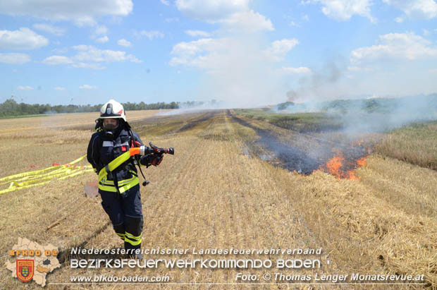 20180619 Großer Flurbrand bei Unterwaltersdorf Foto: © Thomas Lenger Monatsrevue.at 20180619 Großer Flurbrand bei Unterwaltersdorf Foto: © Thomas Lenger Monatsrevue.at