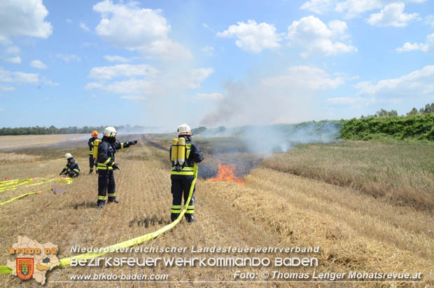 20180619 Großer Flurbrand bei Unterwaltersdorf Foto: © Thomas Lenger Monatsrevue.at 20180619 Großer Flurbrand bei Unterwaltersdorf Foto: © Thomas Lenger Monatsrevue.at